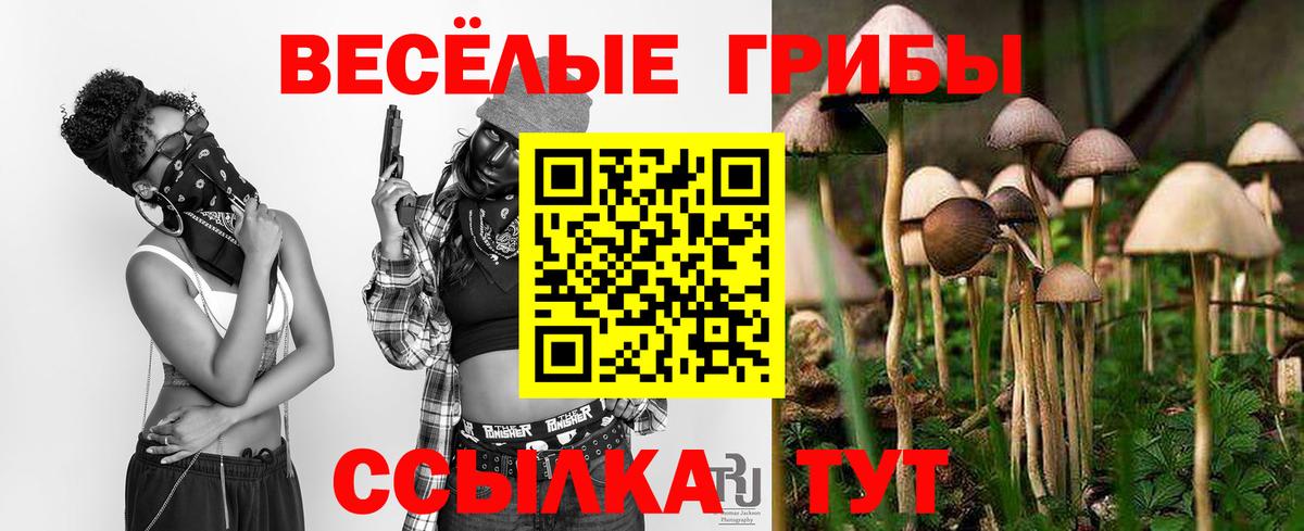 Галлюциногенные грибы GOLDEN TEACHER Семёнов